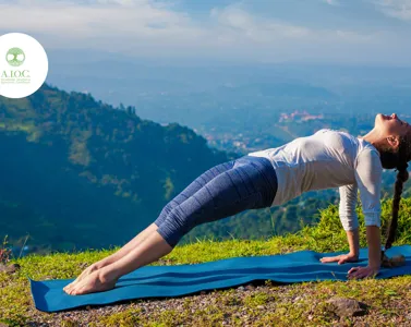 Hatha Yoga: Benefici, Tecniche e Guida Completa alla Pratica