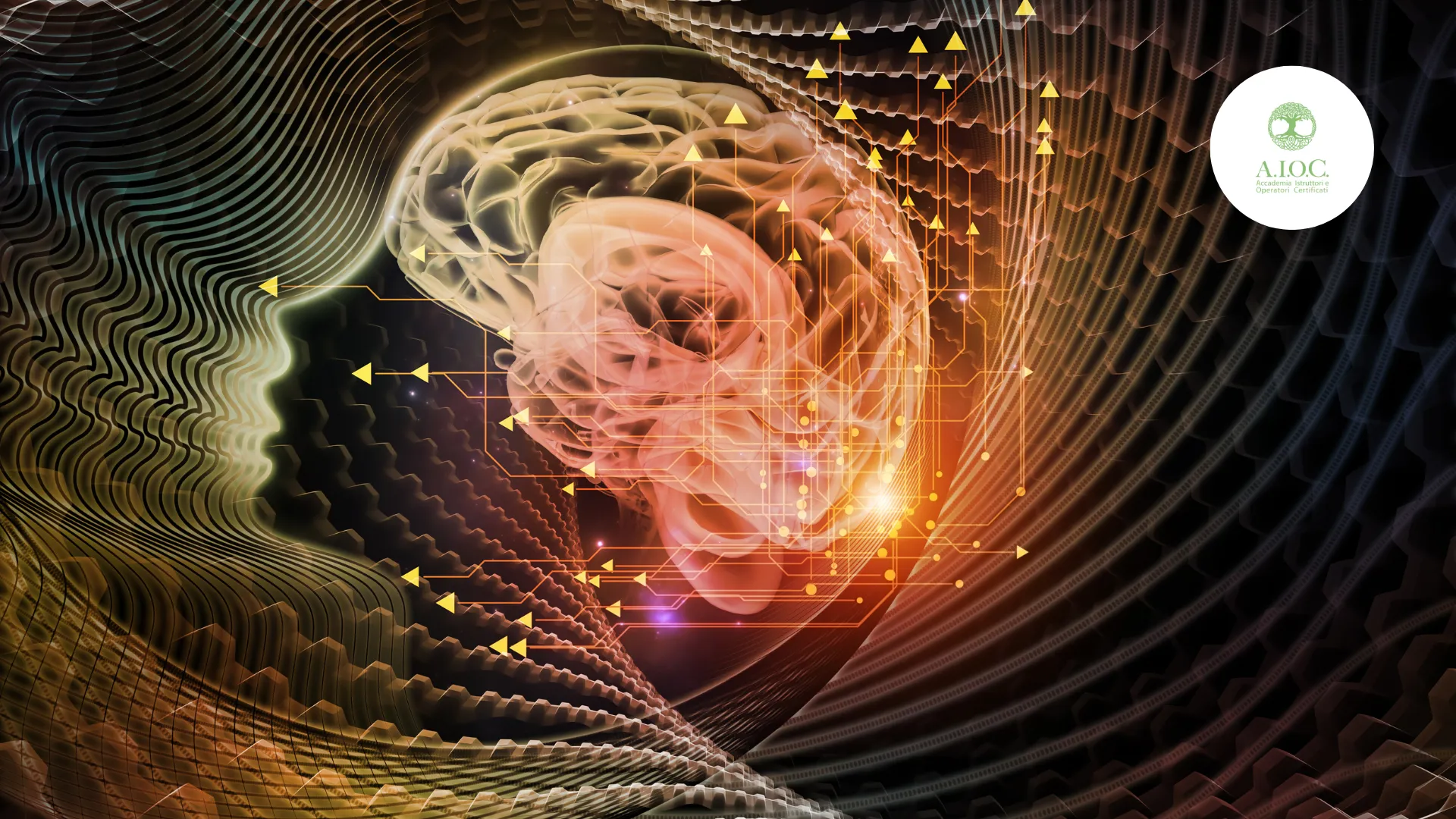 Mindfulness: Origini e Significato della Pratica