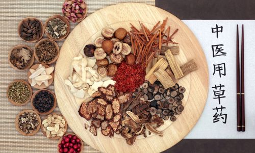 Master in Medicina Tradizionale Cinese
