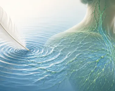 Il sistema linfatico: principi di idrodinamica e fondamenti del metodo Vodder