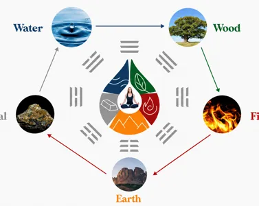 La Legge dei 5 Elementi in MTC: come leggere gli squilibri energetici attraverso l'alternanza delle stagioni