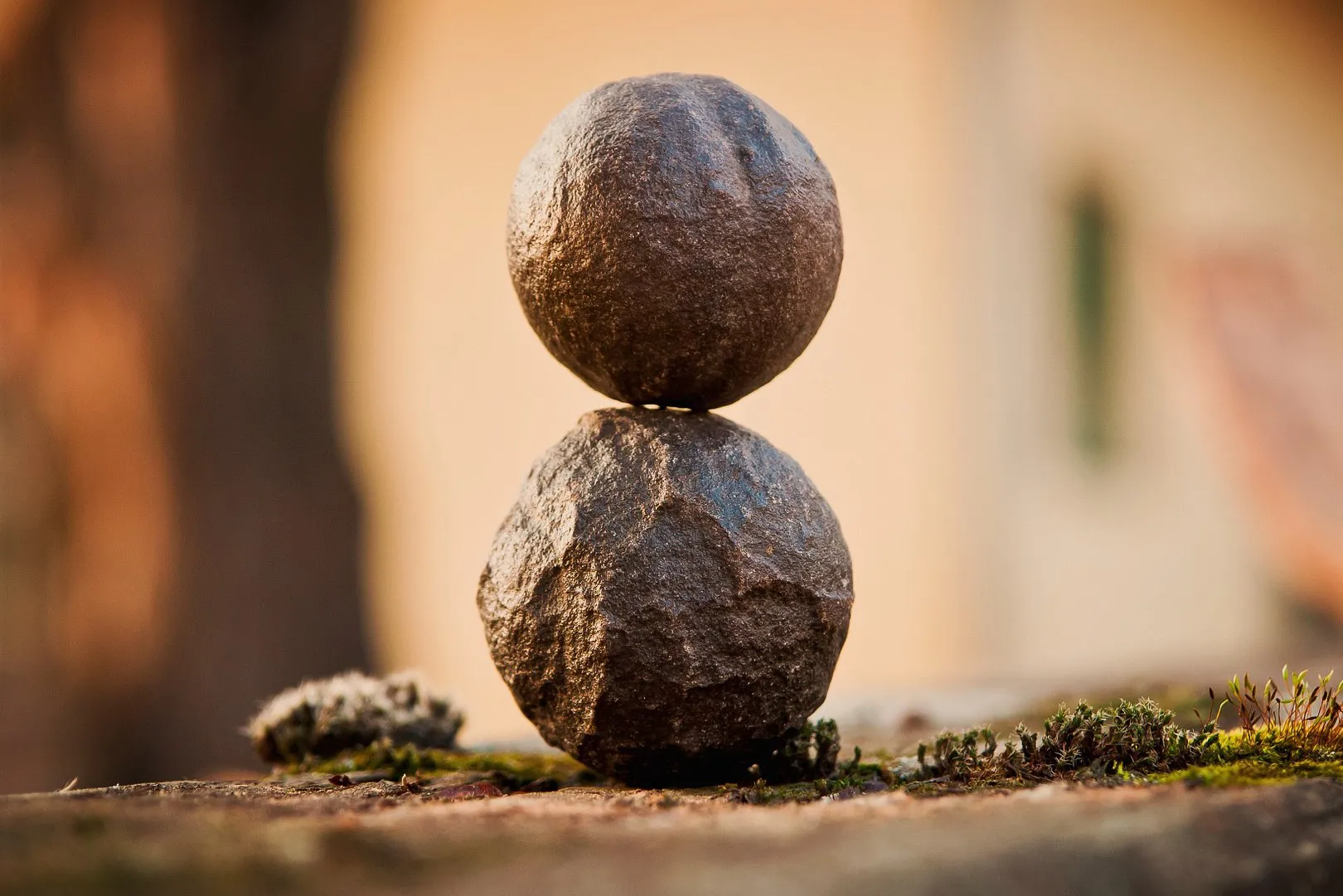 Mindfulness, la consapevolezza che non giudica