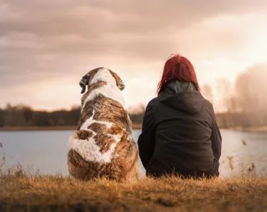 Fiori Australiani per gli animali da compagnia 
