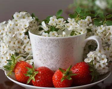I benefici dell'Alimentazione Olistica