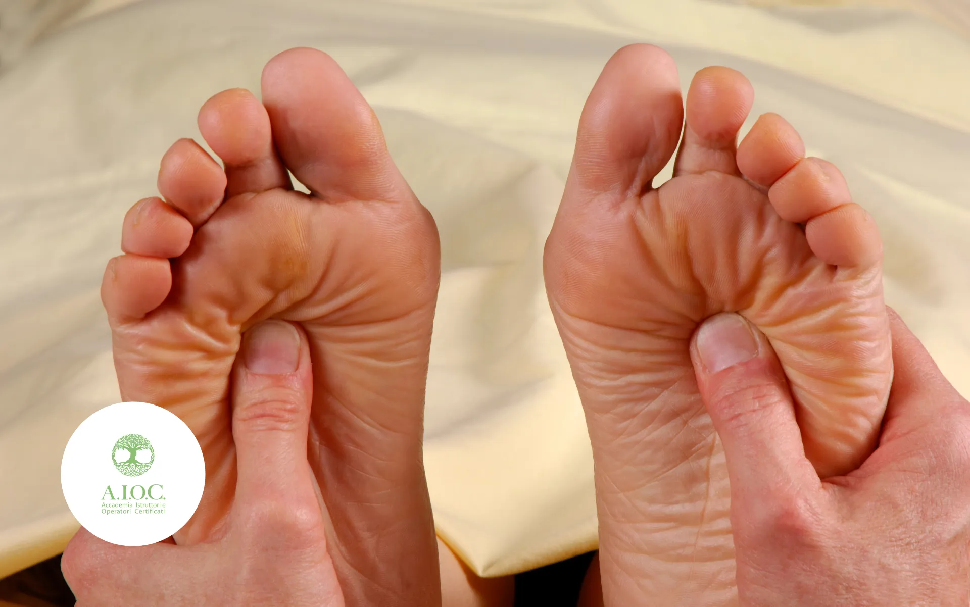 Riflessologia Plantare e Palmare: Un Percorso di Benessere attraverso Piedi e Mani