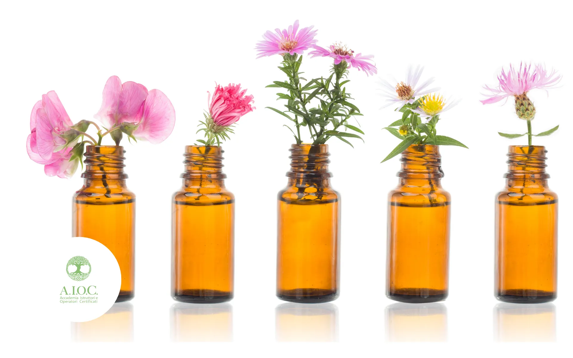 Floriterapia: L'Armonia del Benessere attraverso i Fiori