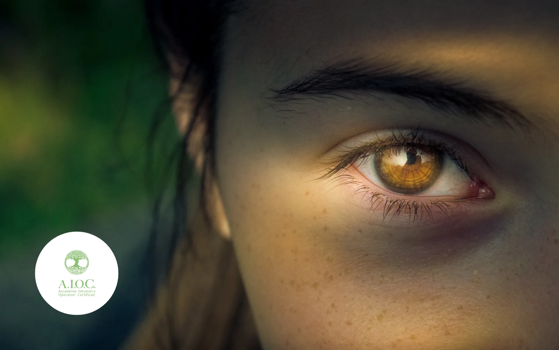 Tutto ciò che devi sapere sull'iridilogia: 7 domande frequenti