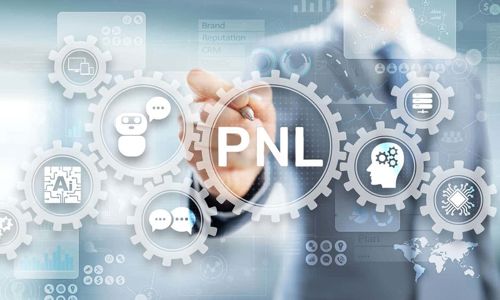 PNL 2 Expert