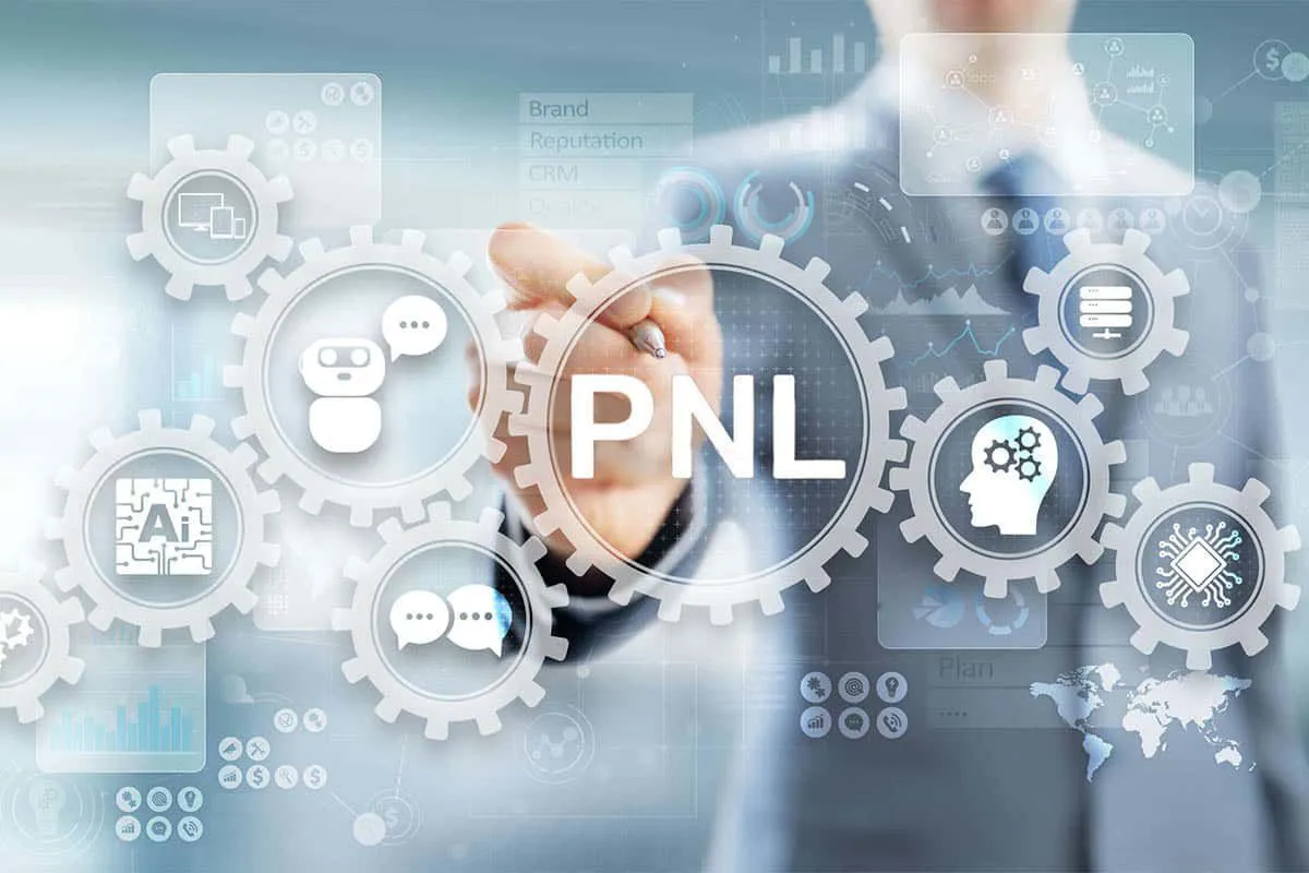 PNL 2 Expert