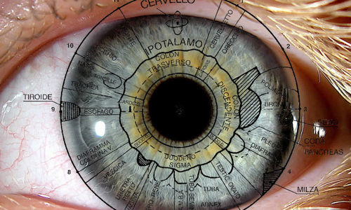 Operatore di Iridologia