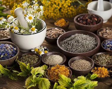 La fitoterapia: la più antica forma di cura