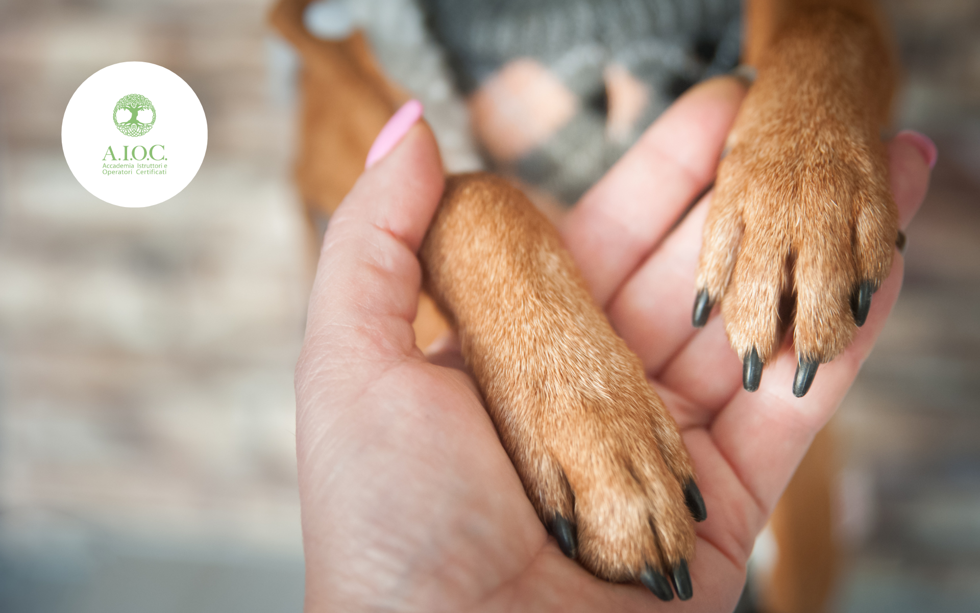 Naturopatia Animale: Cure Naturali per il Benessere duraturo dei tuoi animali