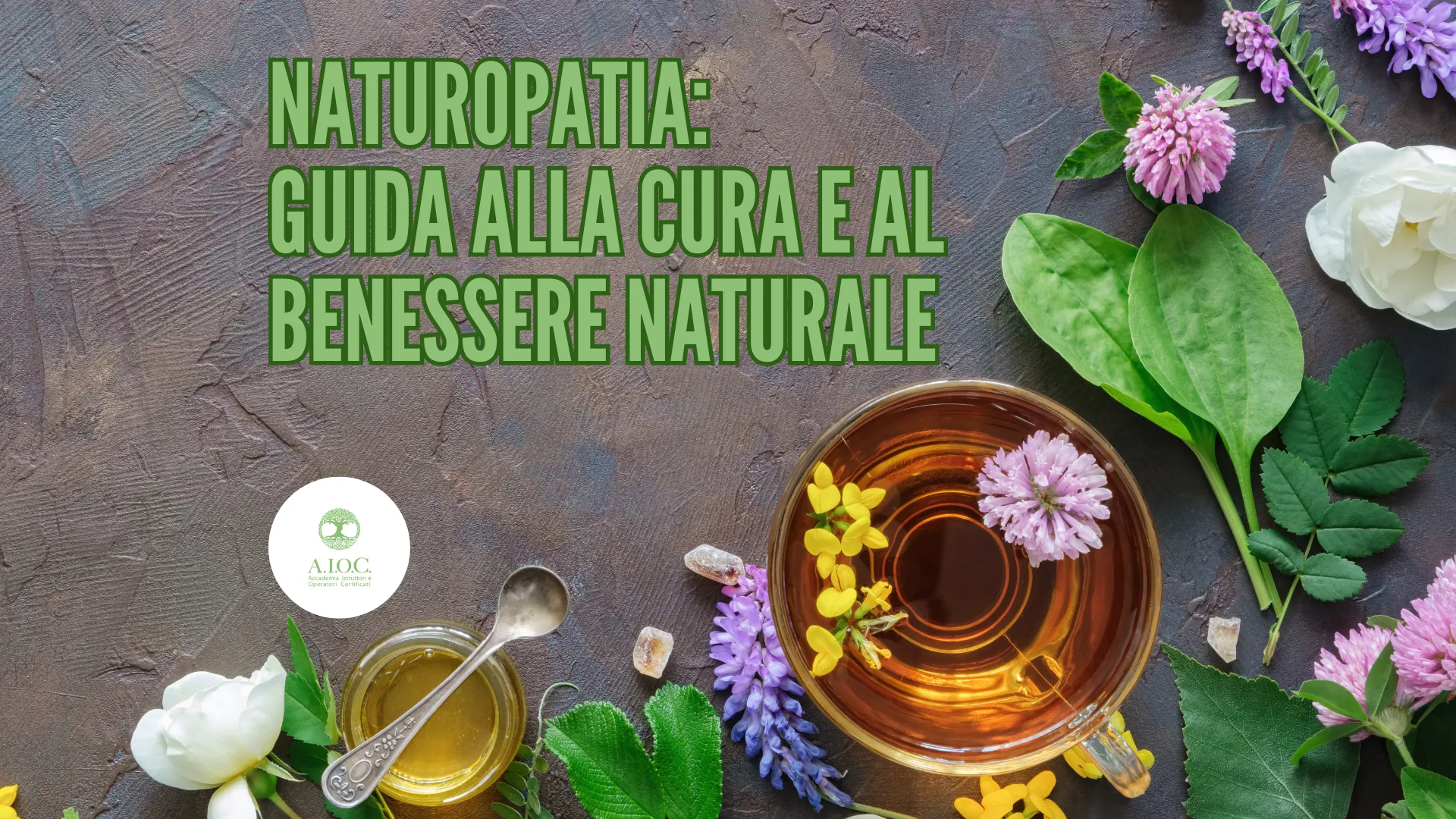 Il Naturopata: Guida alla Cura e al Benessere Naturale
