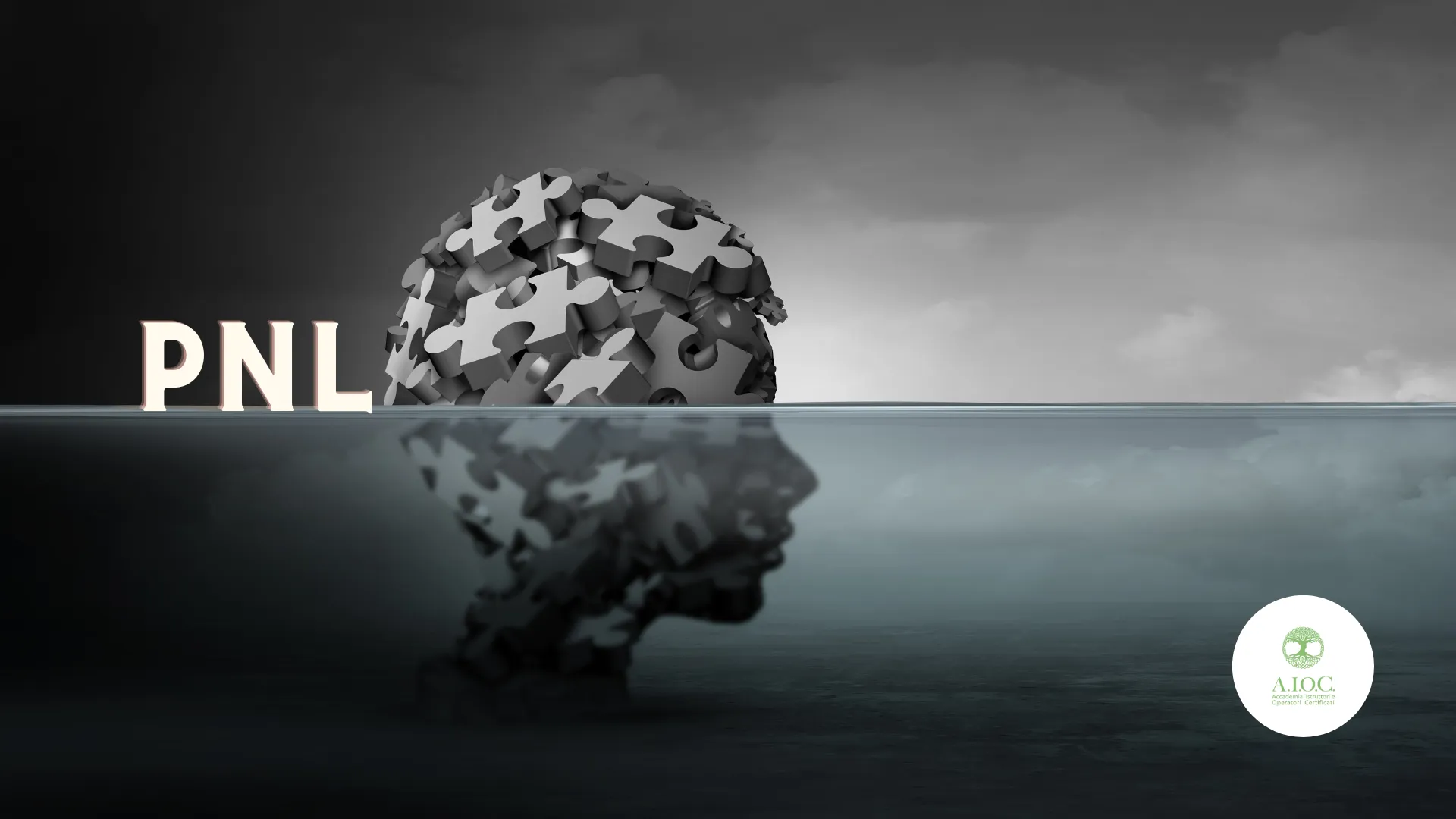 Programmazione Neuro-Linguistica: Cos'è, Tecniche e Applicazioni della PNL