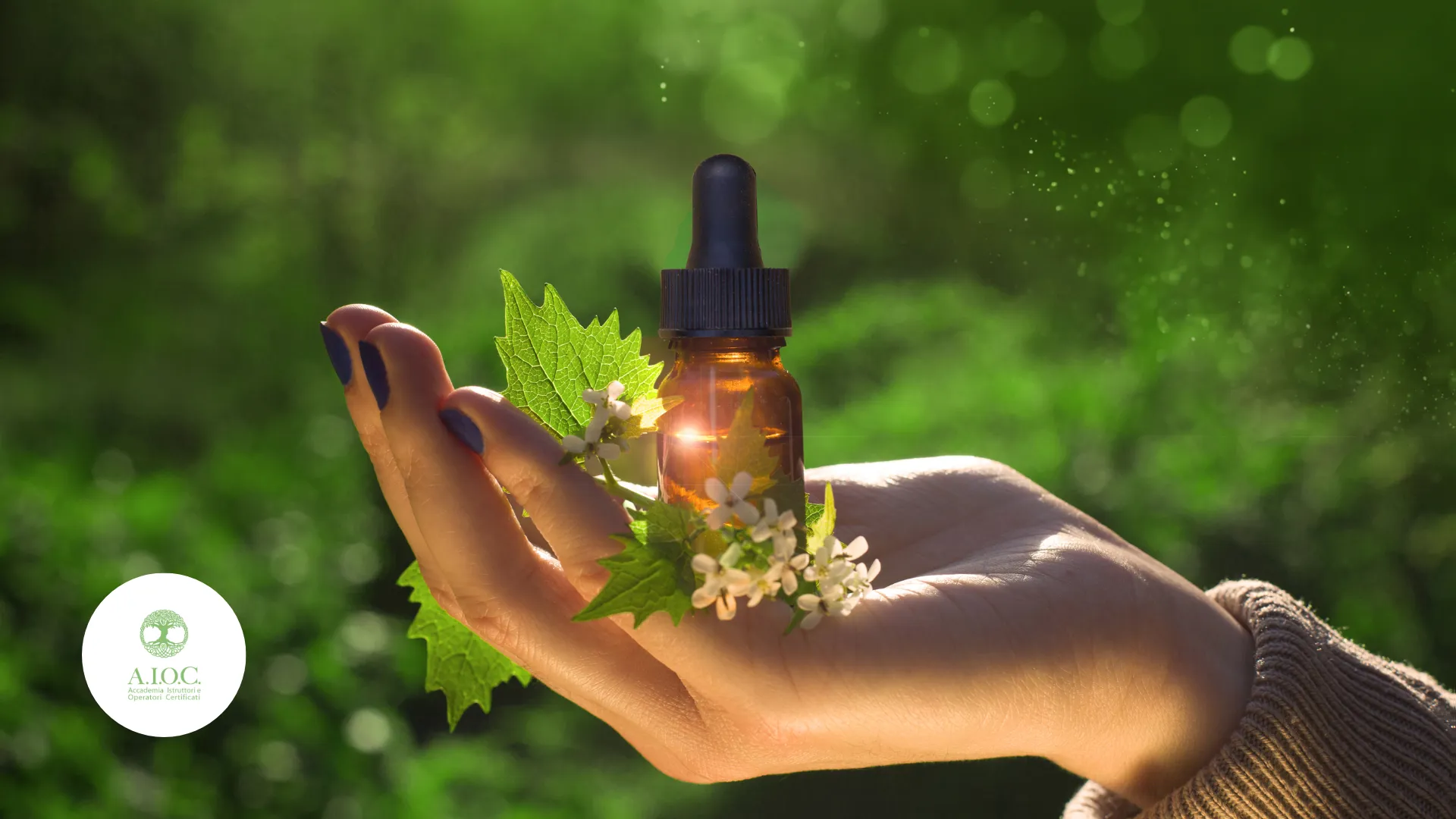 Bush Flowers: effetti e proprietà per benessere fisico e personale