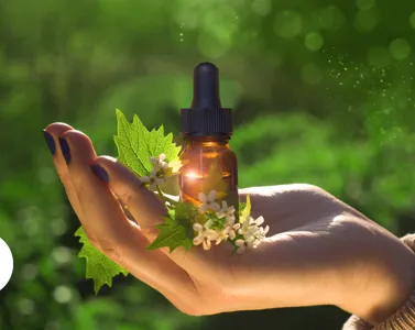 Bush Flowers: effetti e proprietà per benessere fisico e personale