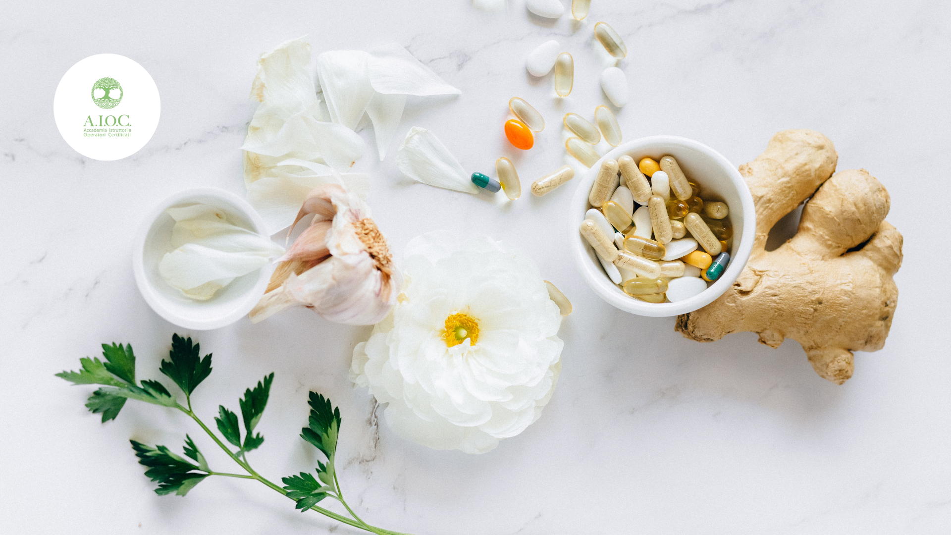 Nutraceutica: Scienza, Benefici e Applicazioni per il Benessere Quotidiano